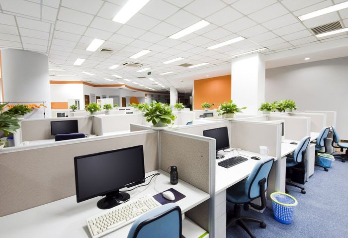 las plantas en lugares de trabajo ayudan a disminuir el estrés laboral