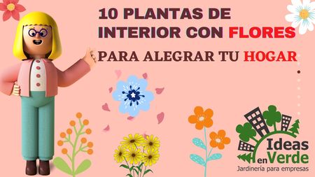 10 Plantas de Interior con Flores para Alegrar tu Hogar