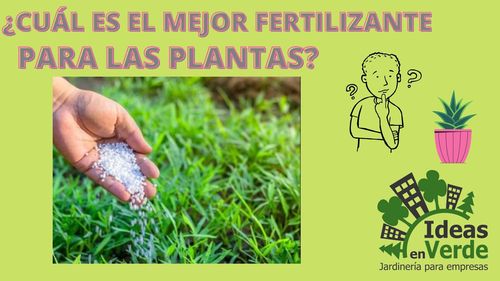 ¿Cuál es el mejor fertilizante para las plantas?