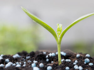Para que sea eficiente, un fertilizante debe ser fácil de absorber por las plantas