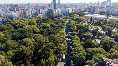Ciudad de Buenos Aires con arbolado urbano