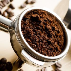 Otra de las 15 mentiras que no sabías sobre las plantas es que los restos de café no sirven como nutrientes