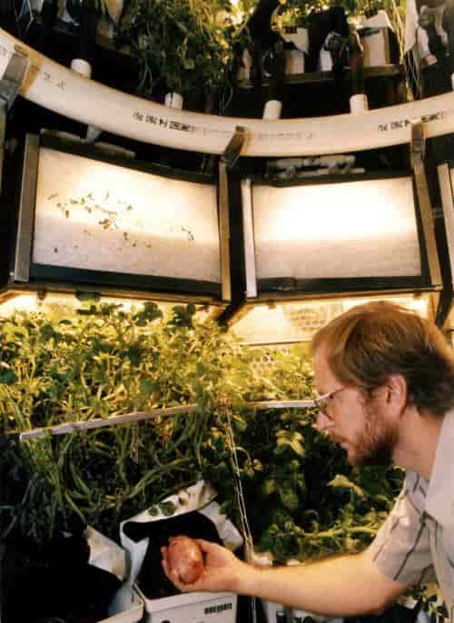 Empleado de la NASA estudiando especies de plantas