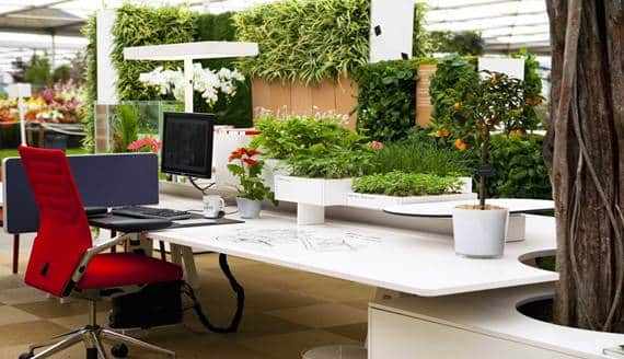 plantas artificiales en oficinas