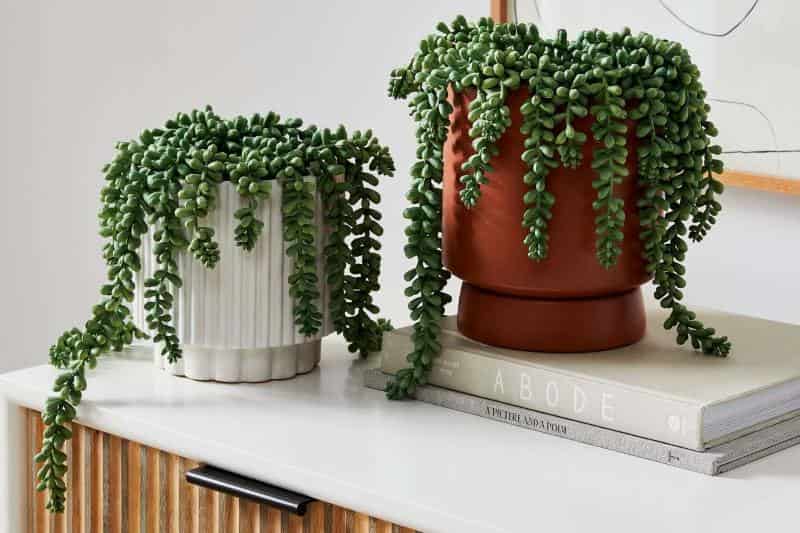 ¿Cuándo es mejor usar plantas artificiales para decorar?